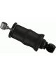 Sachs Shock Absorber
