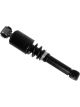 Sachs Shock Absorber
