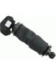 Sachs Shock Absorber