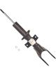 Sachs Shock Absorber