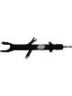 Sachs Shock Absorber