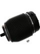 Sachs Pneumatic  Shock Absorber