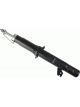 Sachs Shock Absorber