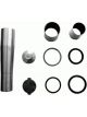 Lemforder Kingpin Repair Kit