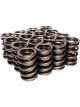 Comp Cams 1.56 Dual Valve Spring Set