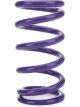 Draco Racing Conventional Spring Front 9.50in Length 5.0