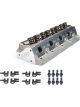 Dart SBF SHP Cylinder Head 205cc/62cc Assembled