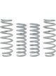 Eibach Drag Launch Kit For 05-22 Dodge Charger Challenger