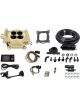 Fitech 600 HP E/S EFI System Classic Gold