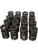 Howards Racing 1.550 Dual Valve Springs .812 ID Pack of 16