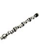 Lunati Hydraulic Roller Camshaft RF-V294HR10 For Pontiac V8