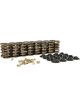 Lunati 1.540 Vale Spring Kit with Retainers and Locks
