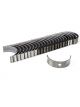 Mahle Lower Main Bearings Only Pack of 24