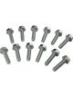 Moroso Bolt Kit For GM LS Rear Seal Cover