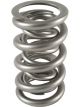 PAC Racing 1.300 Dual Valve Spring