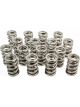 PAC Racing 1.514 Nitrided Dual Valve Springs