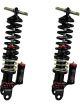 QA1 PRO Coil Kit Rear For 97-13 Corvette Mod Shock Street