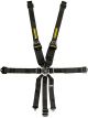 Schroth Racing 16.6 Profi 2-7H PU RT