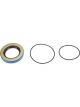 Ti22 Performance Hub Seal And O-ring Kit For Mini Sprint Hubs