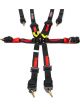 Zamp 6 Point Harness Black Camlock Large 3in/2in Shoulder FIA