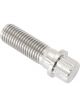 Aeroflow M10 x 1.25mm UHL 30mm Titanium Bolt 12 Point Head