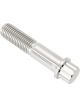Aeroflow M10 x 1.25mm UHL 45mm Titanium Bolt 12 Point Head