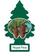 Little Trees Car Air Freshener Royal Pine Single Pack