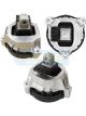 Transgold Engine Mount Left Hand Fits BMW 5 Series