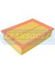 Transgold Air Filter