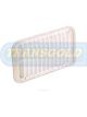 Transgold Air Filter