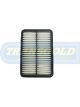 Transgold Air Filter