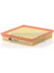 Transgold Air Filter