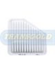 Transgold Air Filter