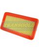 Transgold Air Filter
