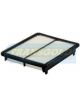 Transgold Air Filter