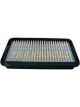 Transgold Air Filter