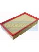 Transgold Air Filter