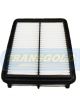 Transgold Air Filter