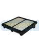 Transgold Air Filter
