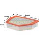 Transgold Air Filter