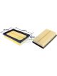 Transgold Air Filter