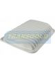 Transgold Air Filter