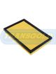 Transgold Air Filter
