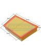 Transgold Air Filter
