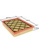 Transgold Air Filter