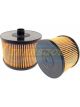 Transgold Fuel Filter Cartridge