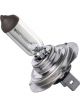 Ignite H7 Halogen Globe 24V 70W PX26d Base Standard Blister Pack 1
