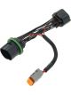 Ignite Headlight Patch Harness Suits Iwh001 To GWM Cannon 2019 On