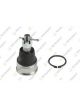 Teknorot Ball Joint Fits Honda CR-V Front Lower