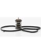 Tridon Thermostat